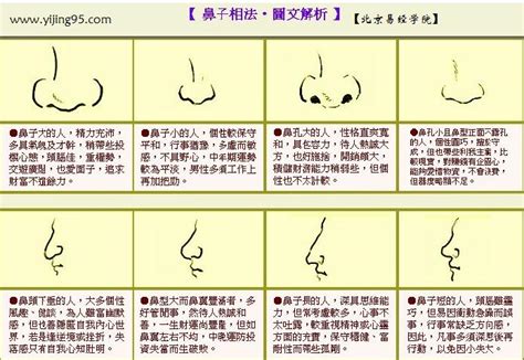 鼻子面相图解|史上最全的面相五官“算命”图文详解（精品收藏）